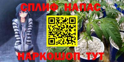 стаф Гагарин
